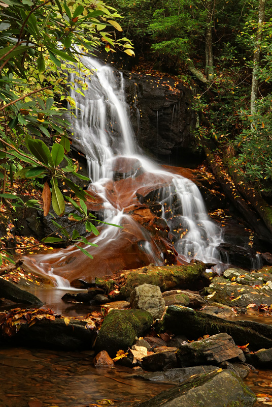 Log Hollow Falls in North Carolina.